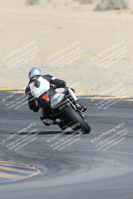 media/Mar-10-2024-SoCal Trackdays (Sun) [[6228d7c590]]/9-Turn 8 Backside (1150am)/
